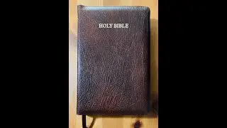 RL Allan Brevier Clarendon 6C Reference Bible in Brown Goatskin Leather - King James Version