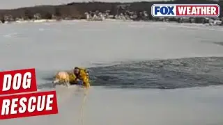 First Responders Leap Into Action To Rescue A Dog From Frozen Lake