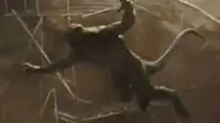 lizard gets kick from nothing in brazil trailer.