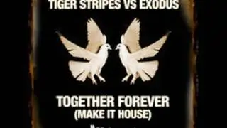 Tiger Stripes vs Exodus 'Together Forever (Make It House)' Dub Mix