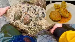 COASTAL FORAGING - Wild abalone Catch Clean Cook 