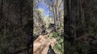 ⛰️🐗🚴&zwj;♂️ 𝐃𝐫𝐨𝐩 𝐝𝐞 𝐀𝐥𝐢 𝐎𝐥𝐢 𝐊𝐚𝐦𝐢𝐤𝐚𝐳𝐞 ⚫️ #mtb #amtb #adrenaline #mountainbike #enduro #downhill