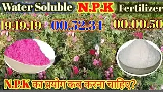 Water soluble NPK fertilizer 19.19.19, 00.52.34, 00.00.50 / N.P.K का प्रयोग कब करना चाहिए?
