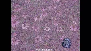 022 