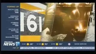 NFTE in the News - NFTE Global Showcase on NY1