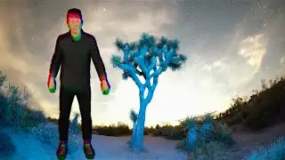 Northern Wonder - Technicolor