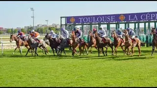【TOULOUSE】FRENCH HORSE RACE ANALYSIS - CHECK OUT BEST OF THE DAY TOO!!