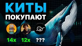 Скрытые покупки китов. Этот токен скоро взлетит!