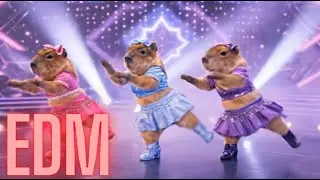 Капибара в стиле EDM Pop Groove &ndash; танцевальный анимационный ролик 🎶🦫
