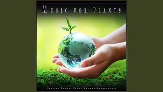 Relaxing Plant Music