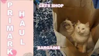 PRIMARK HAUL AUGUST 2020