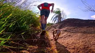 🔴 TRAILDOG 09 | 21km na CANTAREIRA | Mairiporã | Trail Running no calor bravo