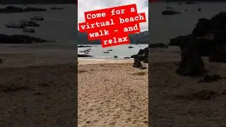 Come for a virtual beach walk and relax - Z. Zeahorse