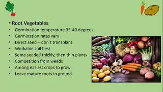Growing Early Season Vegetables with OSU Master Gardeners 2024