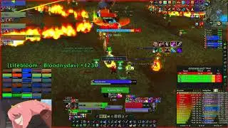 Netherwing WOW TBC / Wasted Potential EU Guild Archimonde . BM hunter POV .