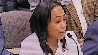 FANI WILLIS OUTBURST BEFORE SENATE COMMITTEE HEARING