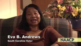 We Will Stand: Defending Voting Rights