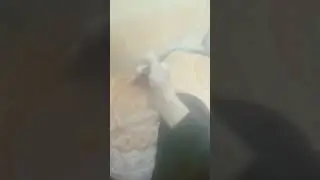анимация сам делал