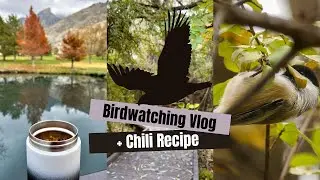 Gloomy Day Birdwatching + Fire Roasted Tomato Chili Recipe (Vegan)