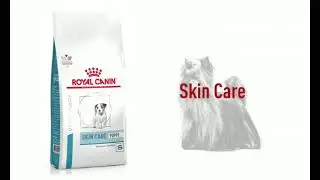 ROYAL CANIN SKIN CARE DOG FOOD