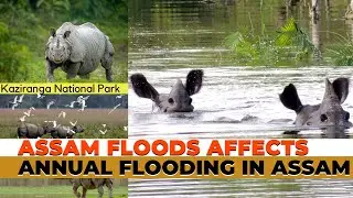 Assam floods 2020- an annual affair
