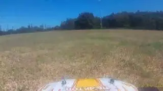 Taj's RC Helion Dominus 10tr