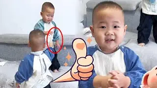 The Younger Bro Listened To His Mom And Gave The Last Toy To His Twin Bro#funny twins#cute twins