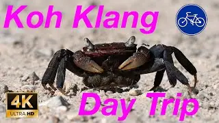 Кох Кланг 🇹🇭 - Однодневная поездка в город Краби (дикая природа и пляжи)