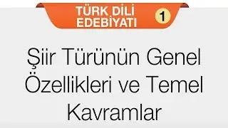Şiir - Şiir Türünün Genel Özellikleri ve Temel Kavramlar
