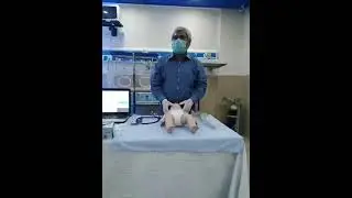 Demo - New Born Baby Receiving|Delivery Room Management|Dr. Azhar Chaghtai|NICU