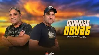 PEDRINHO E NALDINHO - M&Uacute;SICAS NOVAS 2026 ( LAN&Ccedil;AMENTO NOVO )