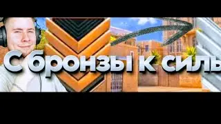 от бронзы до Сильвера |в парниках