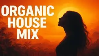 BEST ORGANIC HOUSE MIX 2025 &bull; 1 HOUR MIX  FT. &bull; AMONITA &bull; MAKEBO &bull; MARSH &bull; PROFF