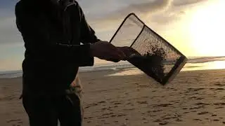 Rob Arnold showing you how to collect nurdles on the beach for The Great Nurdle Hunt.