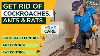 Home Pest Control | Cockroaches🪳, Ants🐜 & Rats🐀 Control | 3-in-1 HomeCare Package | Pest Shields