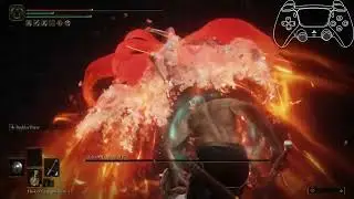 Elden Ring - Malenia Parry only RL80