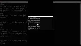 Day 2 Master Docker in 1 minute your first container 