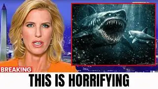 Marine Biologists Solved the Mystery of the Vanished Great White &mdash; The Predator Is Terrifyingly Real