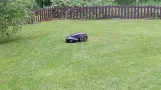 Robomow RS615u - Robotic lawnmower in action