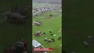 ALABAMA TORNADO OUTBREAK: Stunning drone video shows potential tornado damage in Gordo