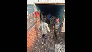 COFFEE CUP ALUMINIUM SCRAP LOADING ORDER FOR SALE