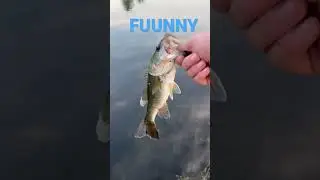 Cool guy🤭 #fishing #bitcoin