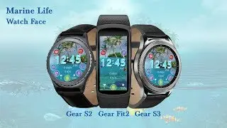 Marine Life Digital Watch Face - Animated Preview