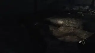Another tlou glitch | The Last of Us&trade; Remastered