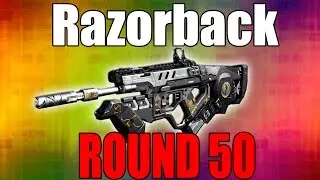 Razorback on Round 50 - 