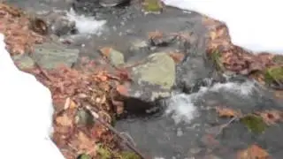 Intermittent Stream in Killingworth Yard
