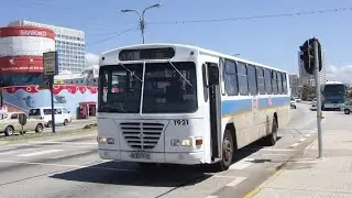 Ride on Algoa Bus K928 Leyland Victory