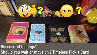 HINDI:Should you wait or move on ?His/Her Current feelings ? Major life lesson.Pick a card Timeless.