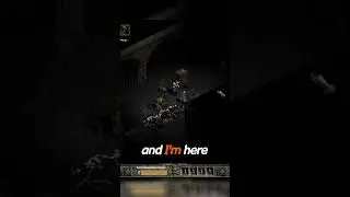 Это всё, чем я занимаюсь &mdash; #Diablo2LOD