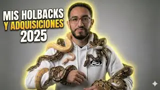 ¡EL FUTURO DEL CRIADERO YA ESTÁ AQUÍ! 🐍✨ Holdbacks y Adquisiciones 2025